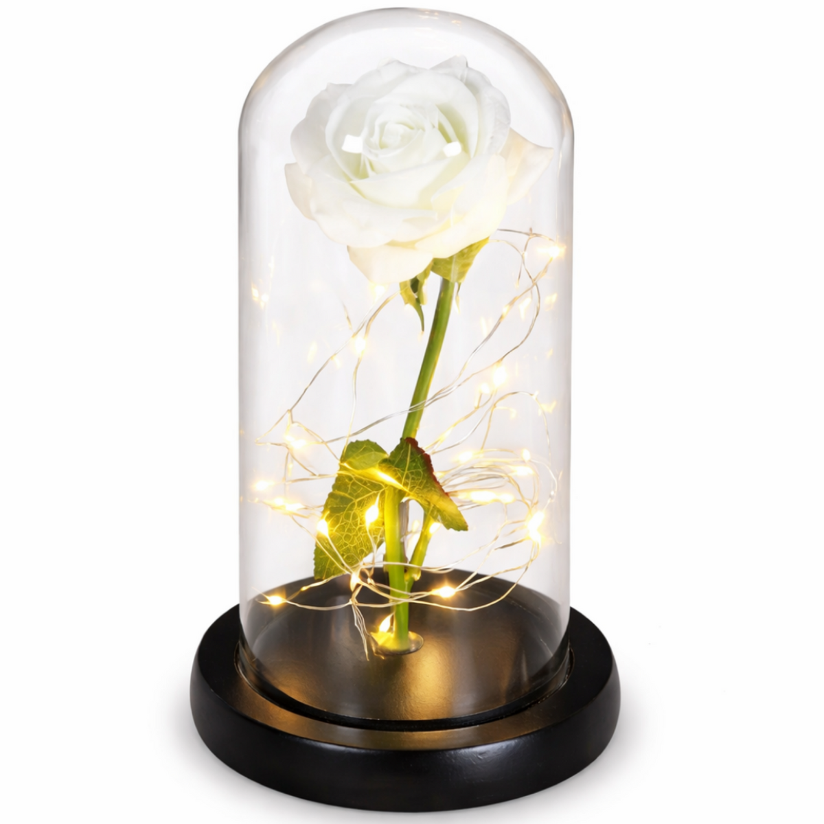 AmorLumi - Ewige Rose LED