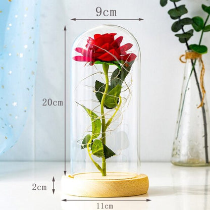 AmorLumi - Ewige Rose LED