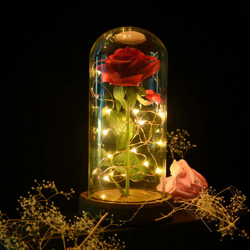 AmorLumi - Ewige Rose LED