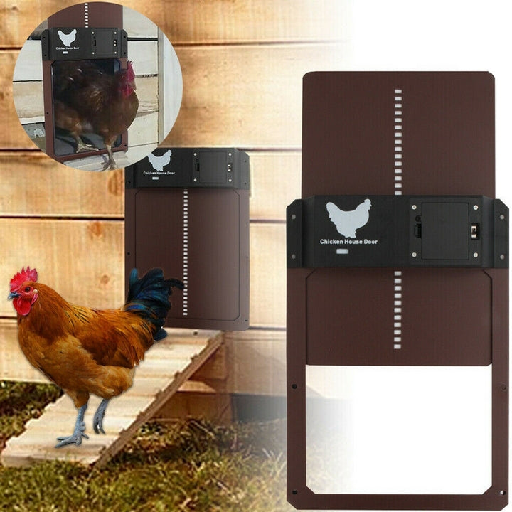 PouleSécur - Automatische Klappe für Hühner