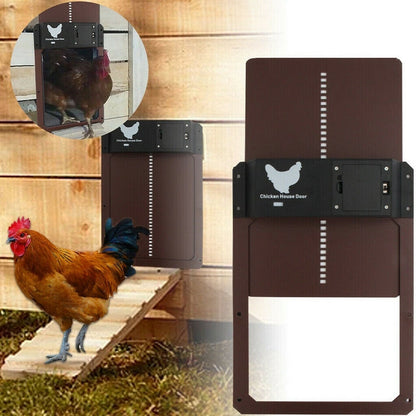 PouleSécur - Automatische Klappe für Hühner