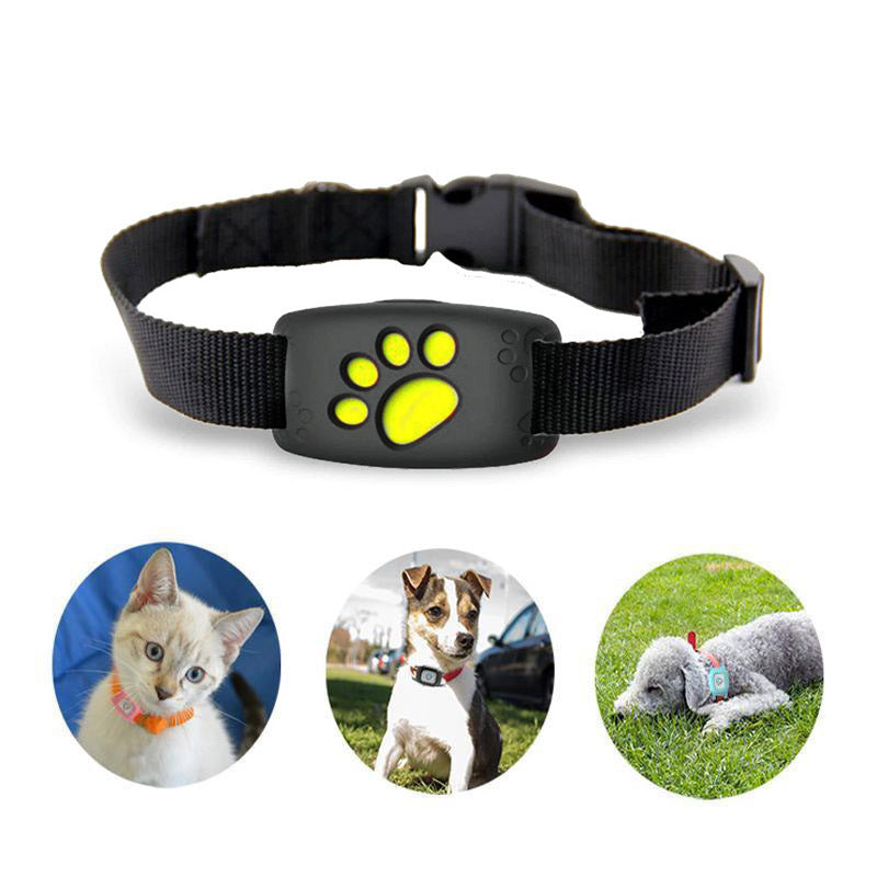 Félivie - GPS-Halsband für Katzen mit Echtzeit-Standortverfolgung