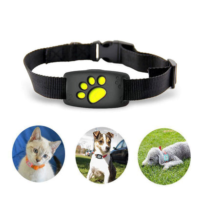 Félivie - GPS-Halsband für Katzen mit Echtzeit-Standortverfolgung