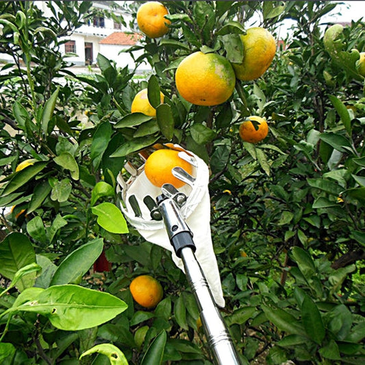 Fruicapt - Kopfkorb zur Obsternte
